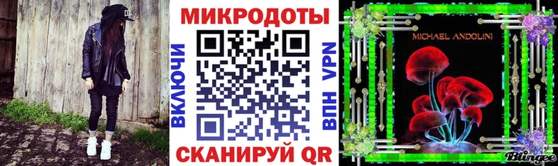 Псилоцибиновые грибы Cubensis  Ачхой-Мартан 